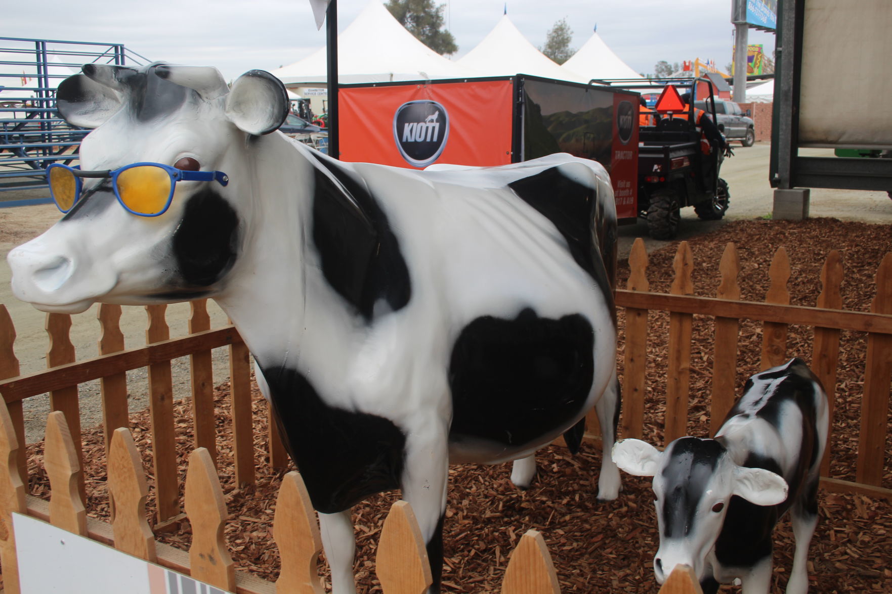 Plastic cow displays